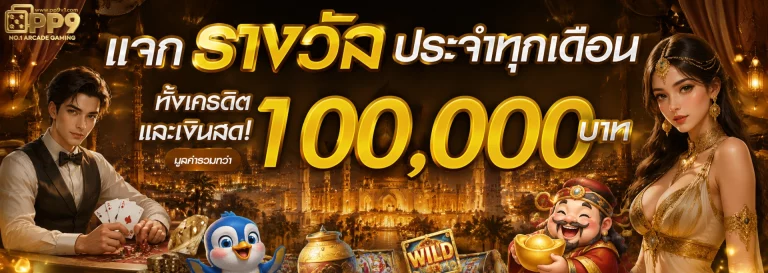 โปรโมชั่น PP9